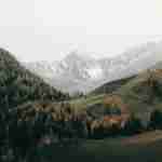 Stk Design Library Image 2