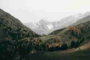 Stk Design Library Image 2